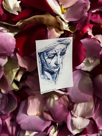 Cofradía Borriquilla Granada: ALELUYAS Y MENSAJES DE PAZ PARA GRANADA