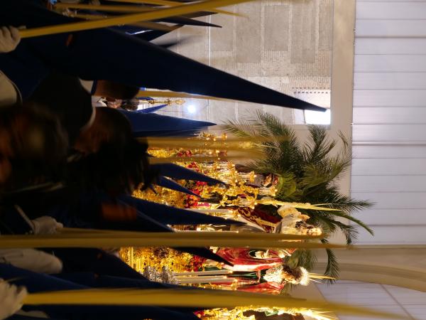 Cofradía Borriquilla Granada: DOMINGO DE RAMOS 2026