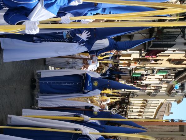 Cofradía Borriquilla Granada: DOMINGO DE RAMOS 2026