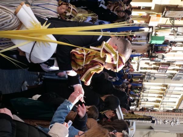 Cofradía Borriquilla Granada: DOMINGO DE RAMOS 2026