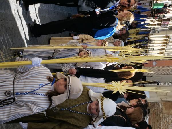 Cofradía Borriquilla Granada: DOMINGO DE RAMOS 2026