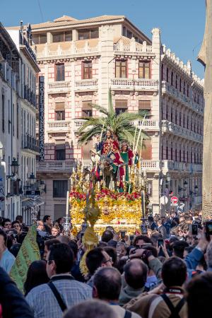 Cofradía Borriquilla Granada: TRASLADO MATINAL A LA S.I. CATEDRAL PARA PRESIDIR LA SOLEMNE FUNCIÓN DE PALMAS DE LA DIÓCESIS.