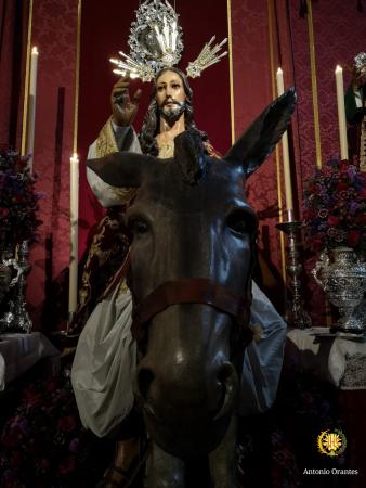 Cofradía Borriquilla Granada: TRIDUO EN HONOR A JESÚS DE LA ENTRADA EN JERUSALÉN, FUNCIÓN SOLEMNE POR LA FESTIVIDAD DE CRISTO REY y BESAMANOS  2018
