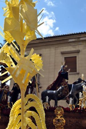 Cofradía Borriquilla Granada: Domingo de Ramos 2012