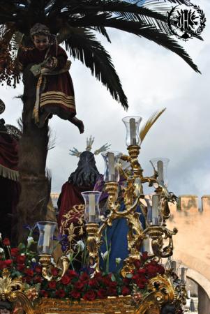 Cofradía Borriquilla Granada: Domingo de Ramos 2013