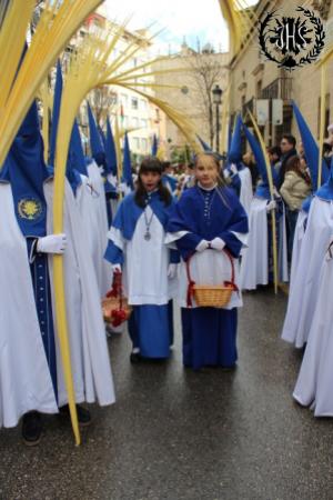 Cofradía Borriquilla Granada: Domingo de Ramos 2013