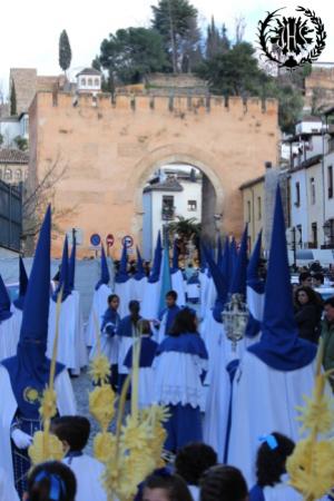 Cofradía Borriquilla Granada: Domingo de Ramos 2013