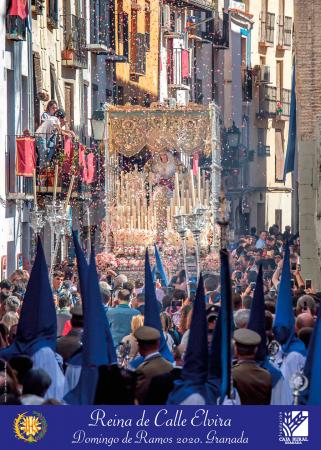 Cofradía Borriquilla Granada: Carteles de la Cofradía