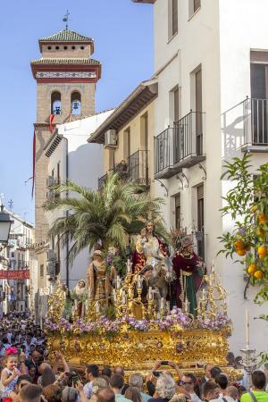 Cofradía Borriquilla Granada: SALIDA EXTRAORDINARIA DE JESÚS DE LA ENTRADA EN JERUSALÉN