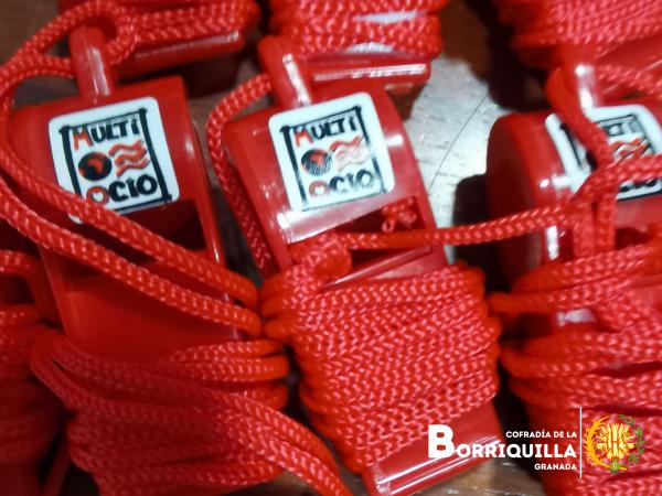 Cofradía Borriquilla Granada: FOTOS CARROZA ILUSIÓN  - CABALGATA 2026