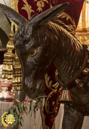 Cofradía Borriquilla Granada: CRISTO REY DEL UNIVERSO. AÑO 2016