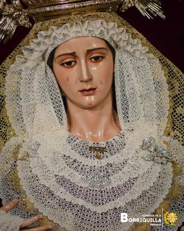 Cofradía Borriquilla Granada: NTRA. SRA. DE LA PAZ INMACULADA 2024