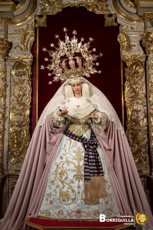 Cofradía Borriquilla Granada: Ntra. Sra. de la Paz pascua 2024