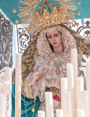 Cofradía Borriquilla Granada: DETALLES PARA EL DOMINGO DE RAMOS 2026