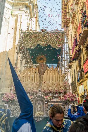 Cofradía Borriquilla Granada: ESTACIÓN DE PENITENCIA DOMINGO DE RAMOS 2017