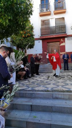 Cofradía Borriquilla Granada: MAÑANA DEL DOMINGO DE RAMOS - 28 DE MARZO 2026