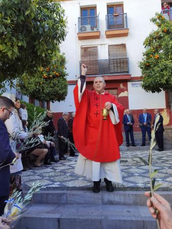 Cofradía Borriquilla Granada: MAÑANA DEL DOMINGO DE RAMOS - 28 DE MARZO 2026
