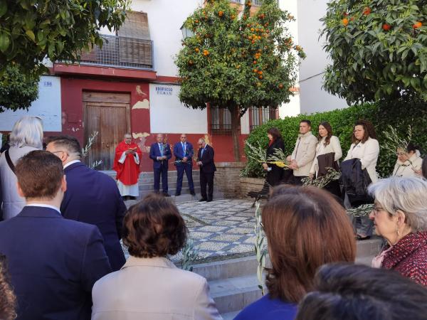 Cofradía Borriquilla Granada: DOMINGO DE RAMOS POR LA MAÑANA EN SAN ANDRÉS - 2026