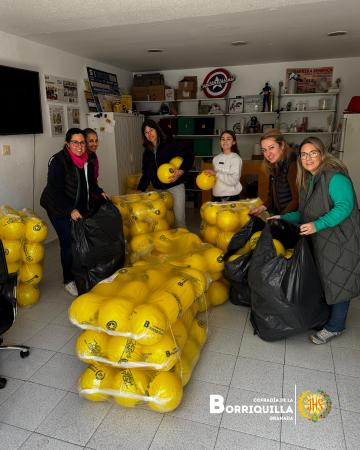 Cofradía Borriquilla Granada: CARROZA DE LA BORRIQUILLA 2025 FOTOS