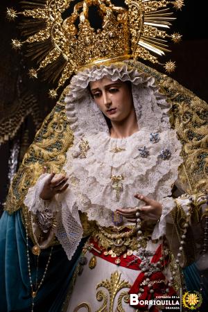 Cofradía Borriquilla Granada: NTRA. SRA. DE LA PAZ DOMINGO DE RAMOS 2026