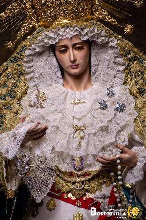 Cofradía Borriquilla Granada: NTRA. SRA. DE LA PAZ DOMINGO DE RAMOS 2026